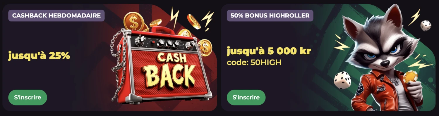 Promotional Banner
